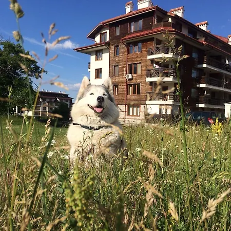 Four Leaf Clover To Rent 3*