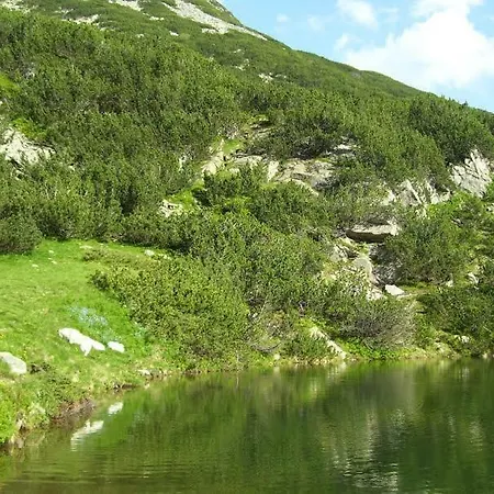 Four Leaf Clover To Rent 3*