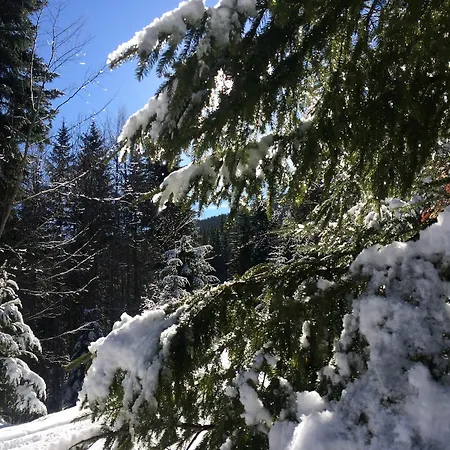 Four Leaf Clover To Rent 3* Bansko