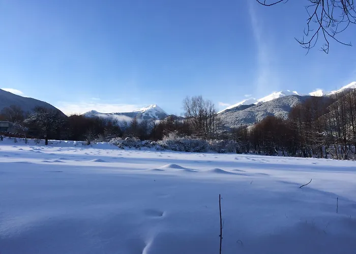 Aparthotel Four Leaf Clover To Rent