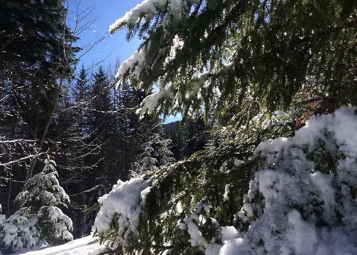 Four Leaf Clover To Rent Aparthotel