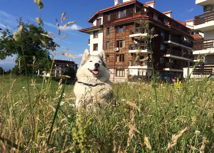 Four Leaf Clover To Rent 3*