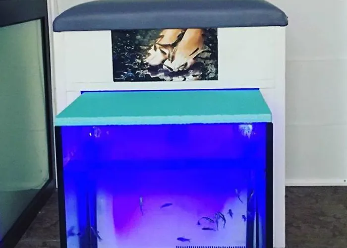 Four Leaf Clover To Rent Aparthotel