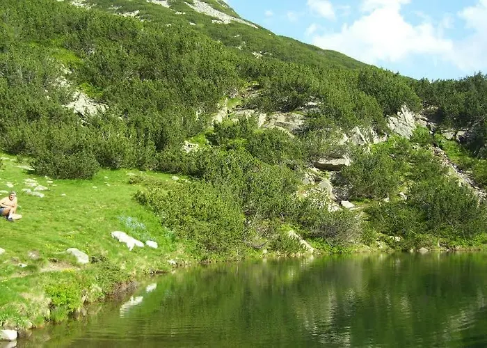 Four Leaf Clover To Rent 3*